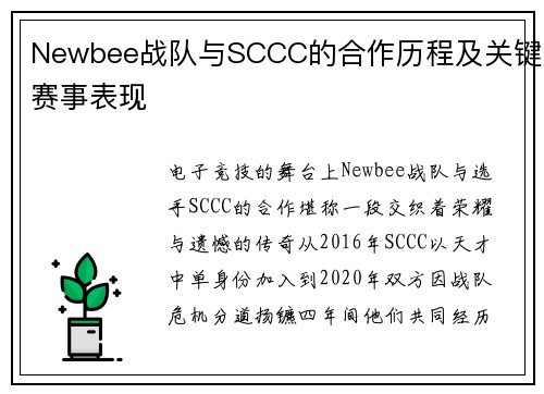 Newbee战队与SCCC的合作历程及关键赛事表现