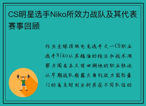CS明星选手Niko所效力战队及其代表赛事回顾